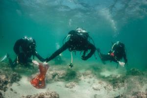 Hrvati in Slovenci skupaj očistili več kot 50 kvadratnih kilometrov morskega dna v Piranskem zalivu 1